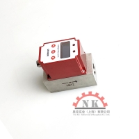 一体式流量温度传感器 NK500标准系列